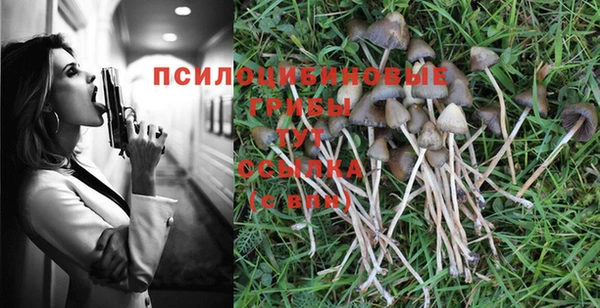 шишки Красноперекопск